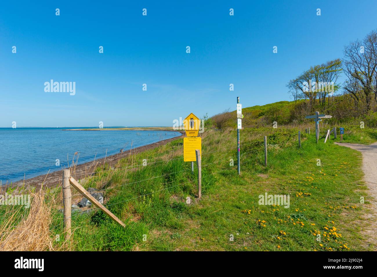 Riserva Naturale Geltinger Birk, Nieby, Flensburger Fjord, Mar Baltico, paesaggio Angeln, Schleswig-Holstein, Germania settentrionale, Europa centrale Foto Stock