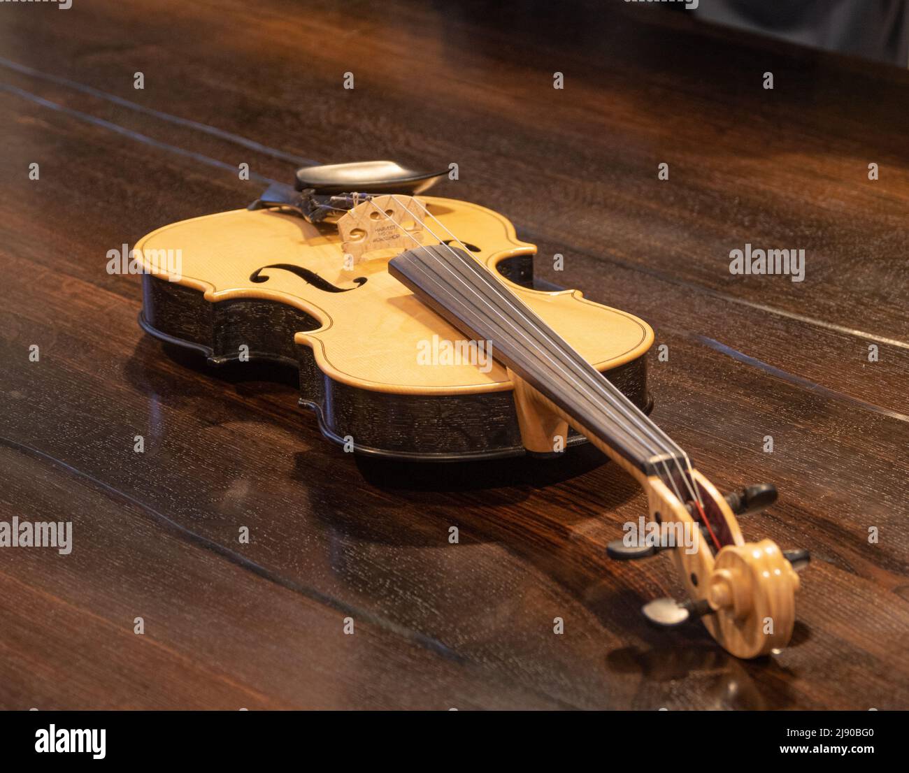 Unico violino di quercia Black Bog Foto Stock