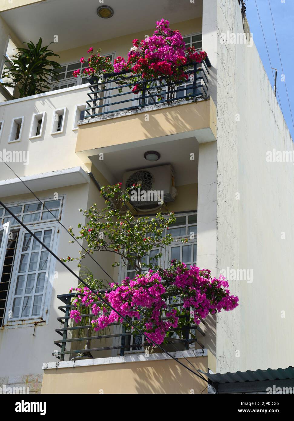 Balconi con cespugli rosa a Nha Trang Vietnam Foto Stock