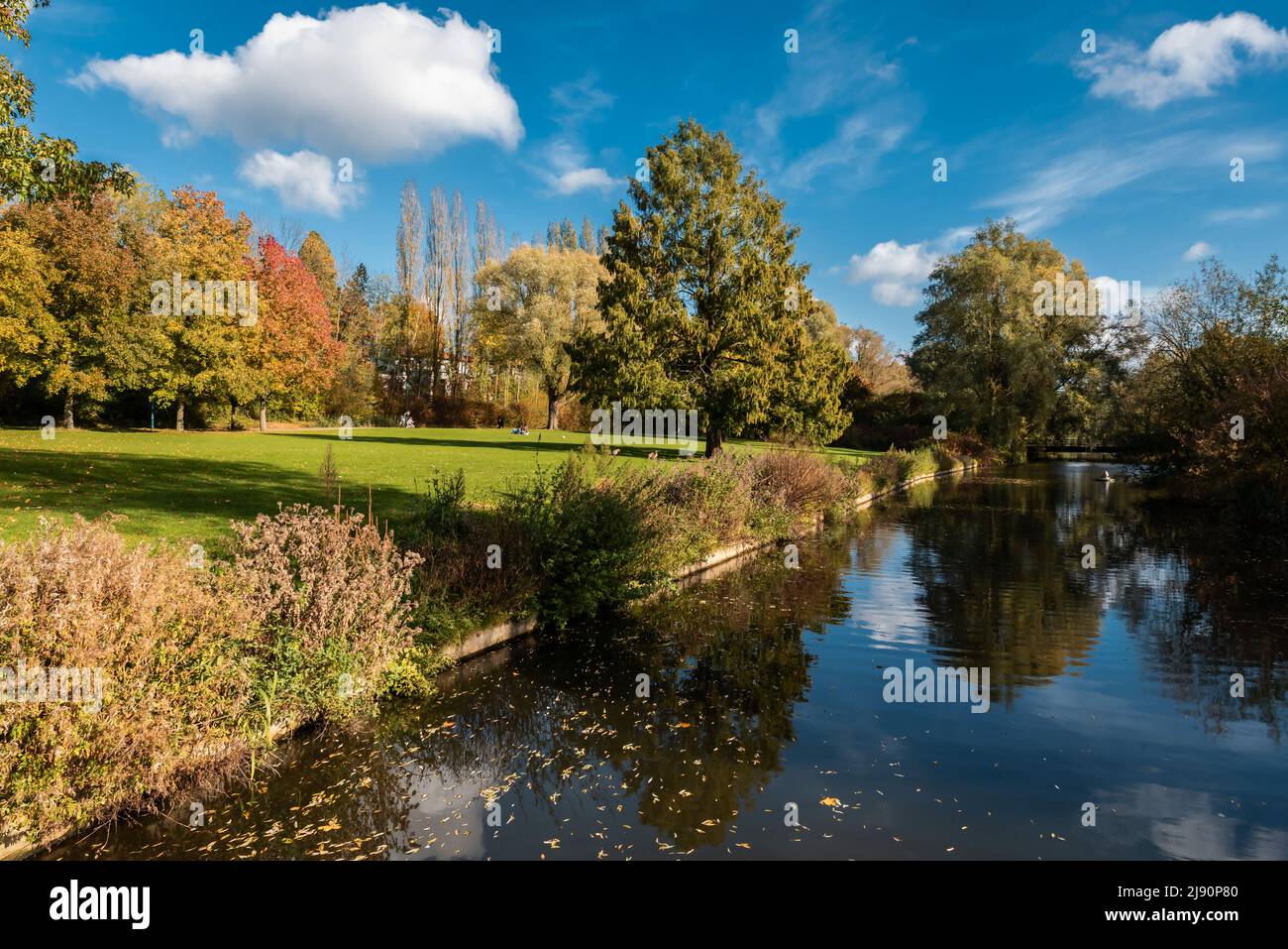 Le rive di un ruscello nel parco della città di King Baudouin durante una soleggiata giornata autunnale con alberi colorati, Jette, Belgio Foto Stock