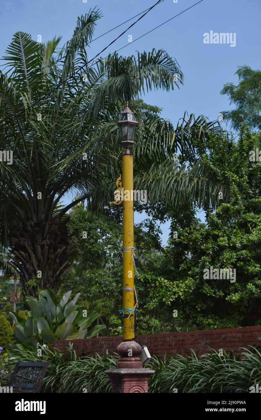 messa a fuoco selettiva di pali di lampada da giardino con sfondo ad albero Foto Stock