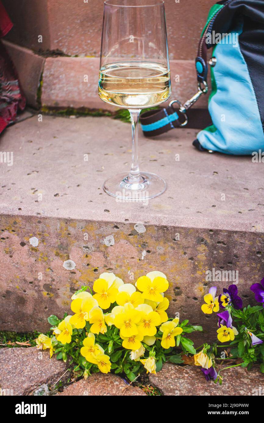 Fiore selvatico della pansy (Viola tricolore) ad un piede della fontana con un bicchiere di vino ad un evento Foto Stock