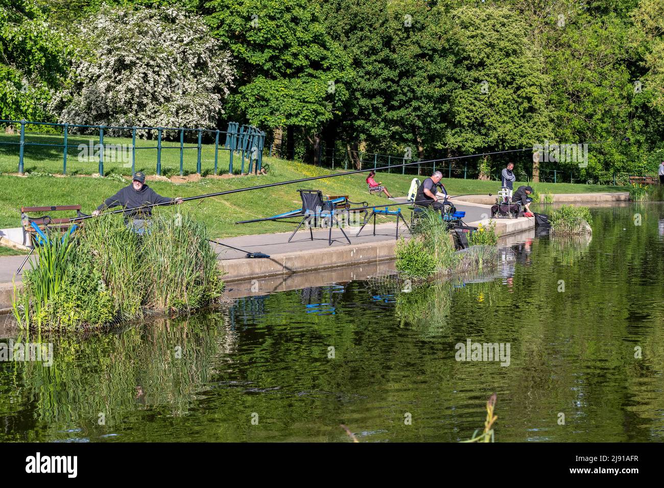 Northampton Regno Unito. 19th maggio 2022. Il club di pesca di Abington ha una partita serale tra le 6pm e le 9pm. Sul lago di Abington Park, con bel sole. Credit: Keith J Smith./Alamy Live News. Foto Stock