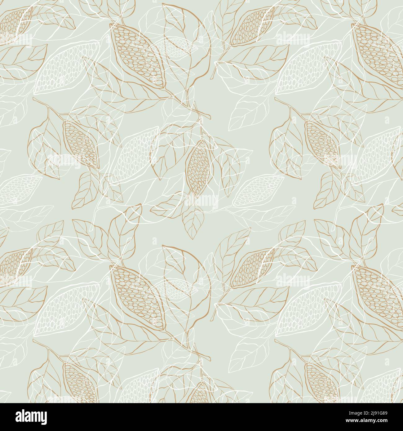 Rametto di cacao modello con foglie e grani di frutta spillata a mano. Illustrazione vettoriale Illustrazione Vettoriale