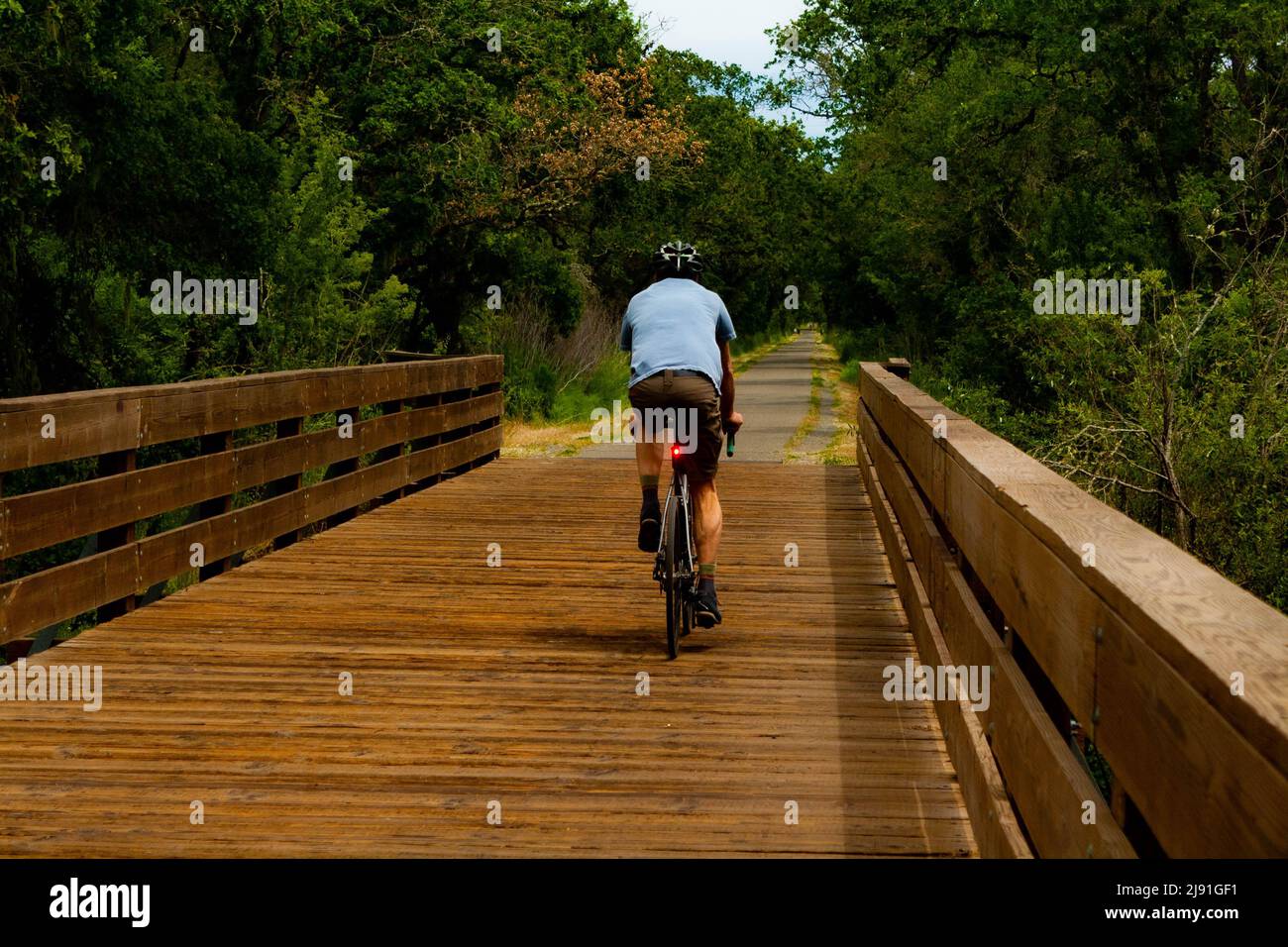 Un ciclista su un ponte di legno Foto Stock