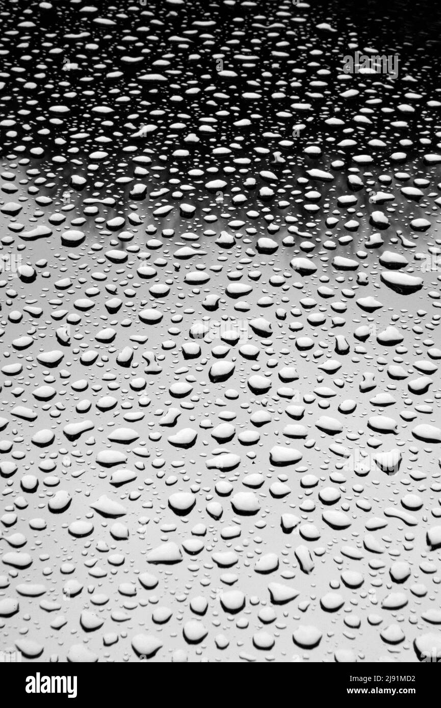 Le gocce di pioggia sul parabrezza per auto Foto Stock