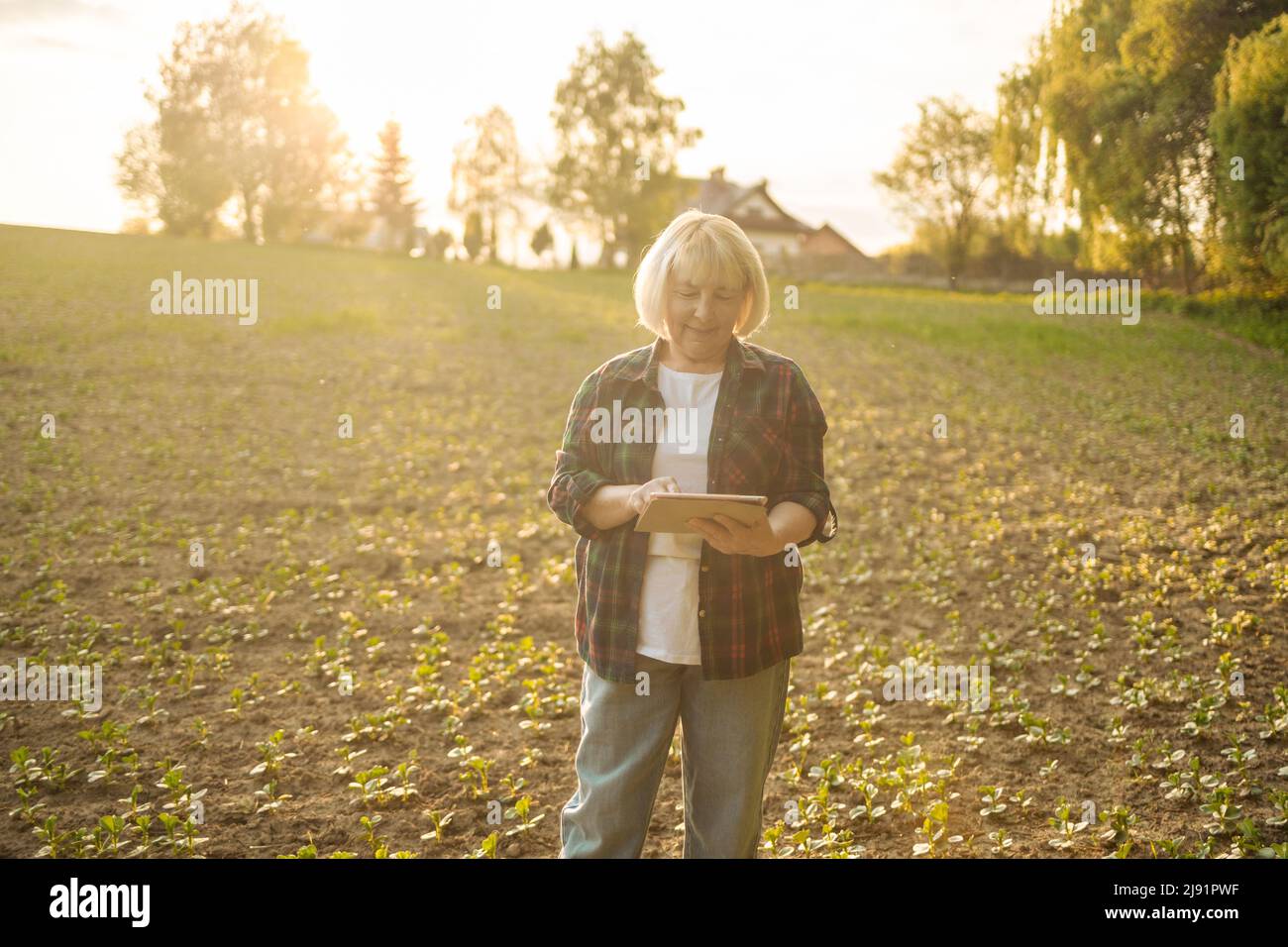 Ritratto di fermer agronomista donna che ispeziona le colture di soia che crescono nel campo agricolo. Produzione e coltivazione di cibo biologico di successo. Foto Stock