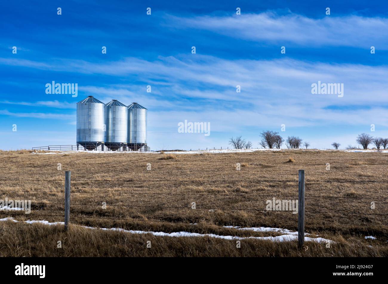 Silos di grano che tiene il grano in piedi su terreni di erba naturale circondato da una recinzione di filo spinato sulle praterie canadesi nella contea di Rocky View Alberta unde Foto Stock Silos di grano che tiene il grano in piedi su terreni di erba naturale circondato da una recinzione di filo spinato sulle praterie canadesi nella contea di Rocky View Alberta unde Foto Stock