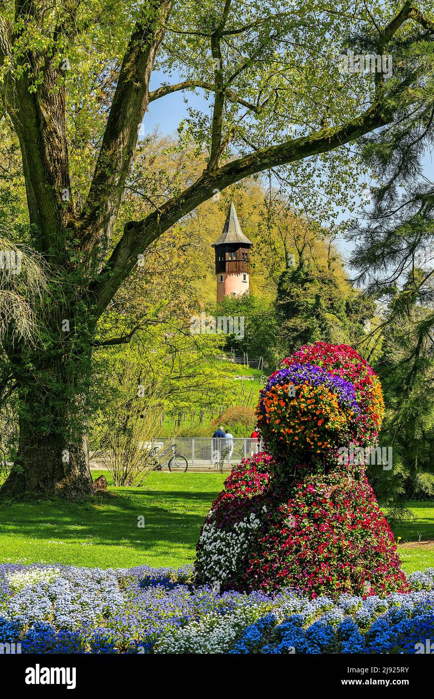 Scultura di fiori e torre svedese, isola di Mainau, Lago di Costanza, Baden-Wuettemberg, Germania Foto Stock