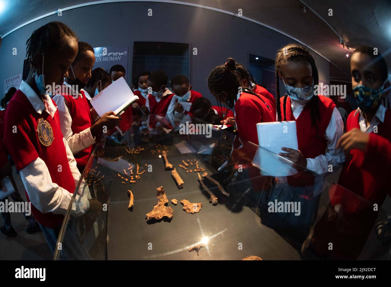 Addis Abeba, Etiopia. 18th maggio 2022. Gli studenti visitano il Museo Nazionale dell'Etiopia ad Addis Abeba, Etiopia, il 18 maggio 2022. Il museo ospita collezioni di preziosi ereditini, tra cui ossa fossilizzate di una femmina della specie hominin Australopithecus afarensis, chiamata 'Lucy', che si ritiene vivano circa 3,2 milioni di anni fa. Credit: Michael Tewelde/Xinhua/Alamy Live News Foto Stock