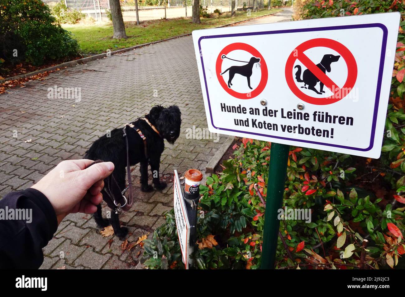 09.11.2021, Berlino, , Germania - divieto e segnale d'informazione: Cani al guinzaglio e defecazione vietati in un parco. 00S211109D079CAROEX.JPG [MODELLO RE Foto Stock