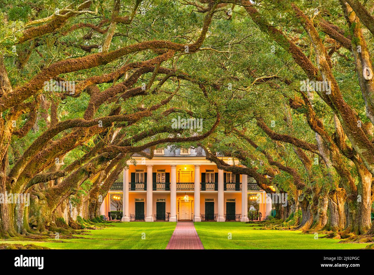 Oak Alley Plantation nei pressi di New Orleans, Louisiana. National Historic Landmark sul fiume Mississippi a Vacherie LA. Foto Stock