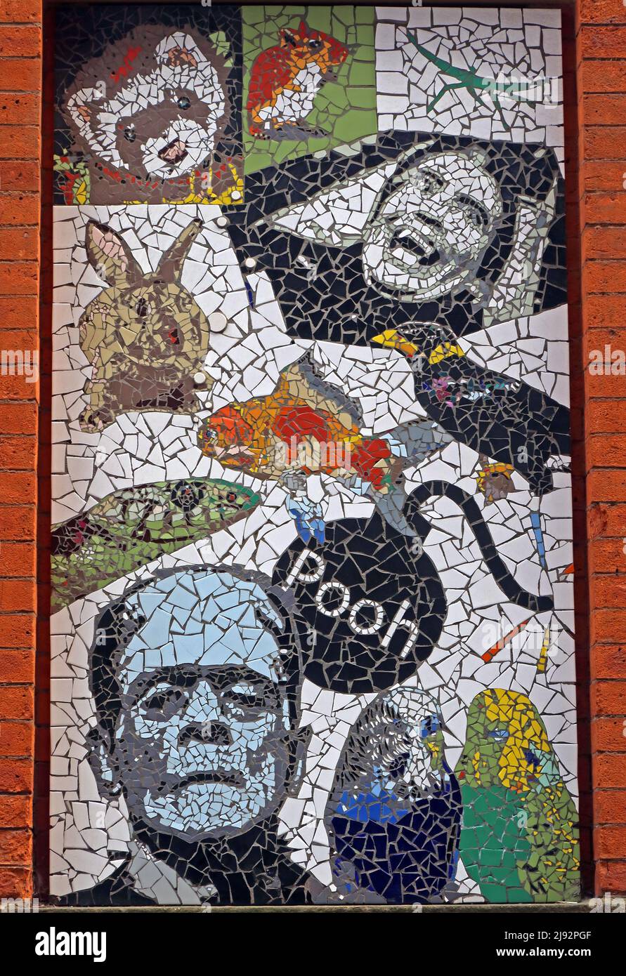 Mark Kennedy mosaici di famosi Mancunians a Afflecks Palace, Church St, Manchester, Inghilterra, UK, M4 1PW Foto Stock