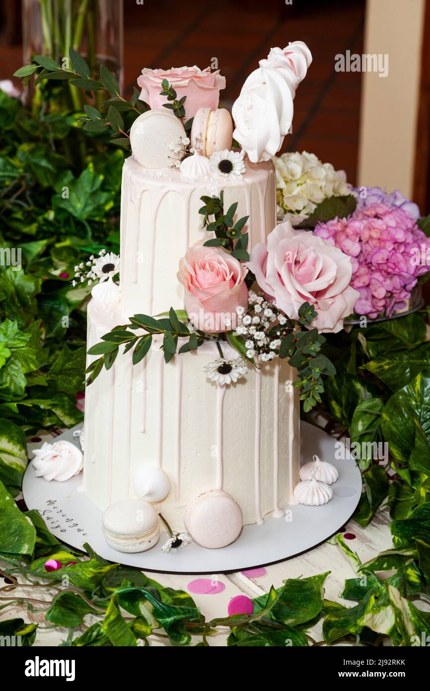 Torta decorata con gusto per ricevimenti di eventi sociali; compleanno, matrimonio o festa Foto Stock