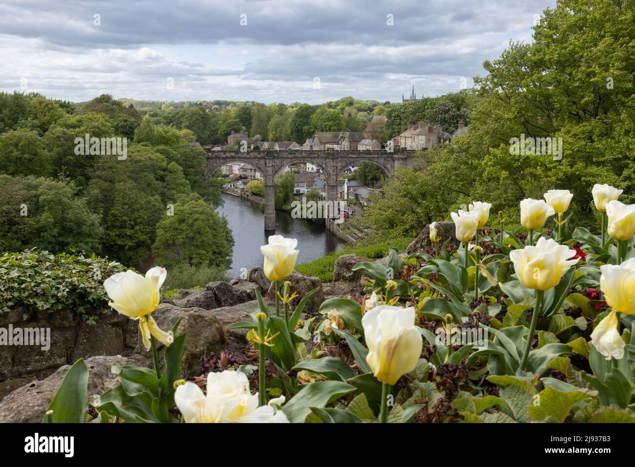 Splendida vista sui tulipani e sul Viadotto di Knaresborough sul fiume Nidd nella città di Knaresborough nello Yorkshire, Regno Unito Foto Stock