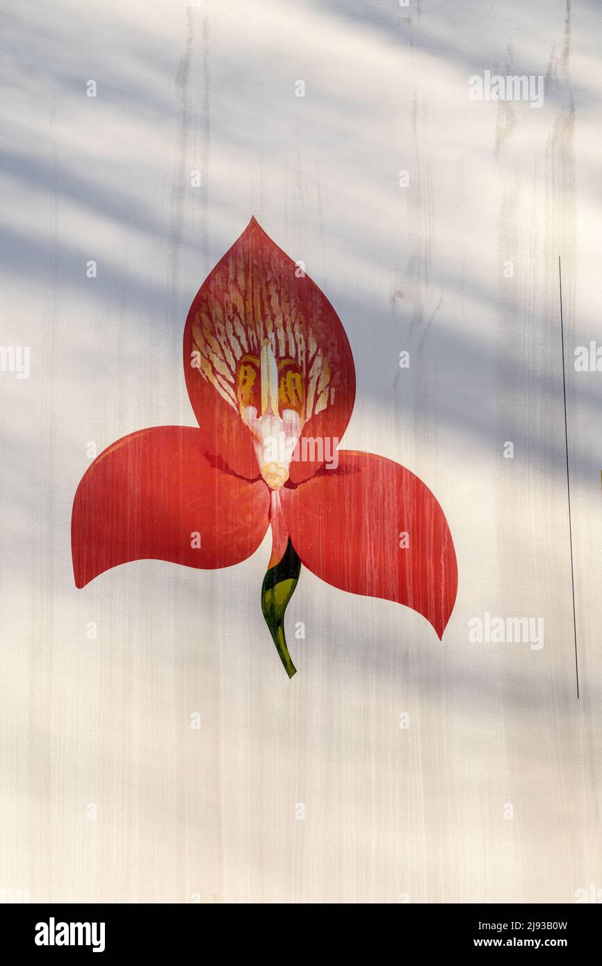 Logo W P rugby di un fiore disa dipinto su una superficie di un edificio, natura astratta nell'arte Foto Stock