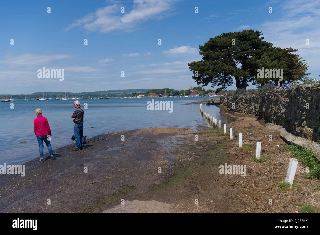 La strada a Bosham vicino all'estuario nel Sussex occidentale allagò con l'alta marea mentre camminatori e un cane aspettano di attraversare. Foto Stock