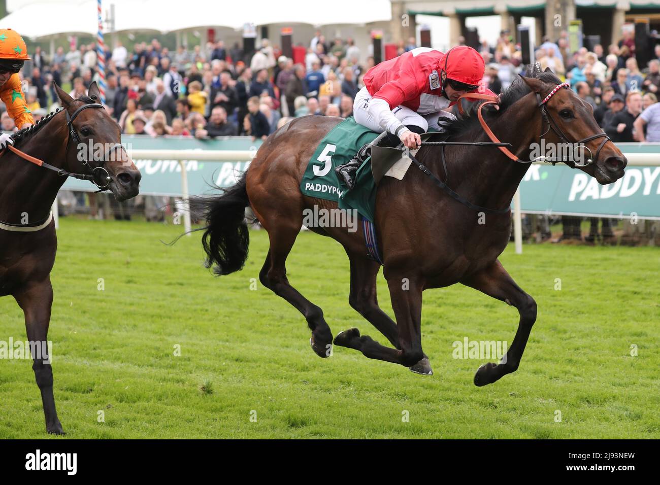 ORSETTO CANAGLIA, CAVALCATO DA JACK MITCHELL, 2022 Foto Stock