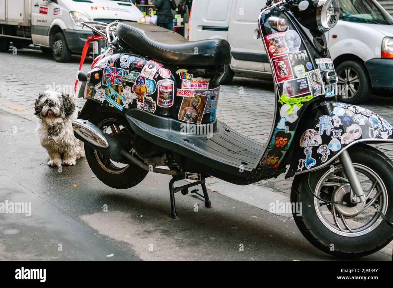 Scooter nero coperto di adesivi e cane piccolo a Parigi, Francia Foto Stock