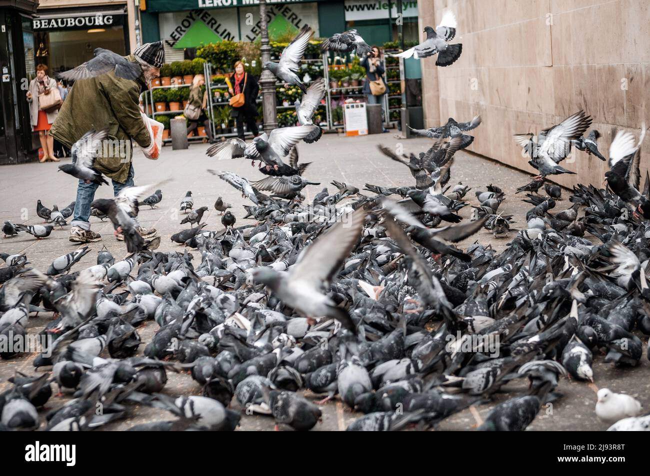 Giuseppe Belvedere alimenta i piccioni nei pressi del Centro Pompidou di Parigi, Francia Foto Stock