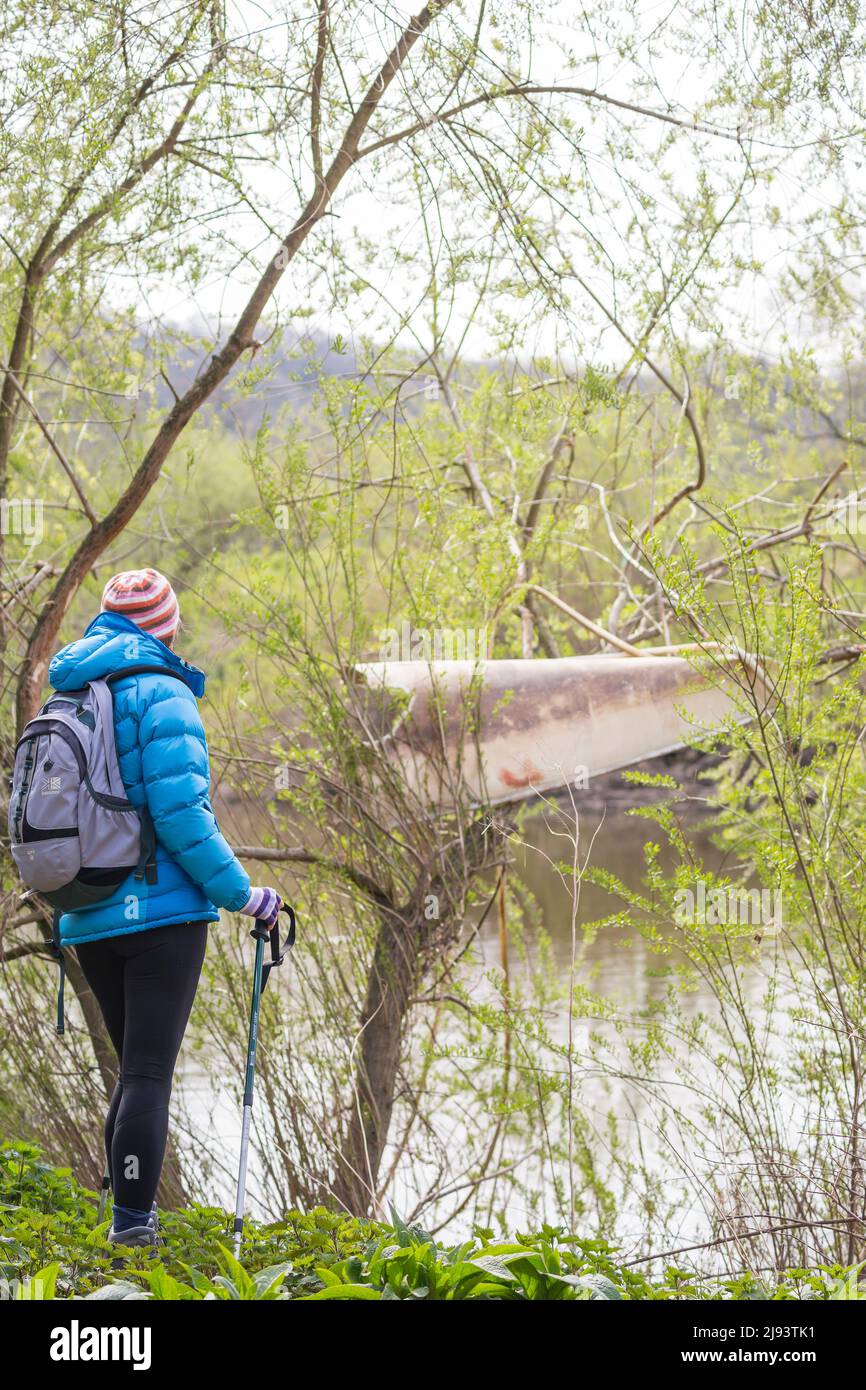 I resti di una barca bloccata in un albero sopra il fiume, risultato delle recenti alte acque alluvionali. Un escursionista guarda con incredulità ai livelli del fiume. Foto Stock