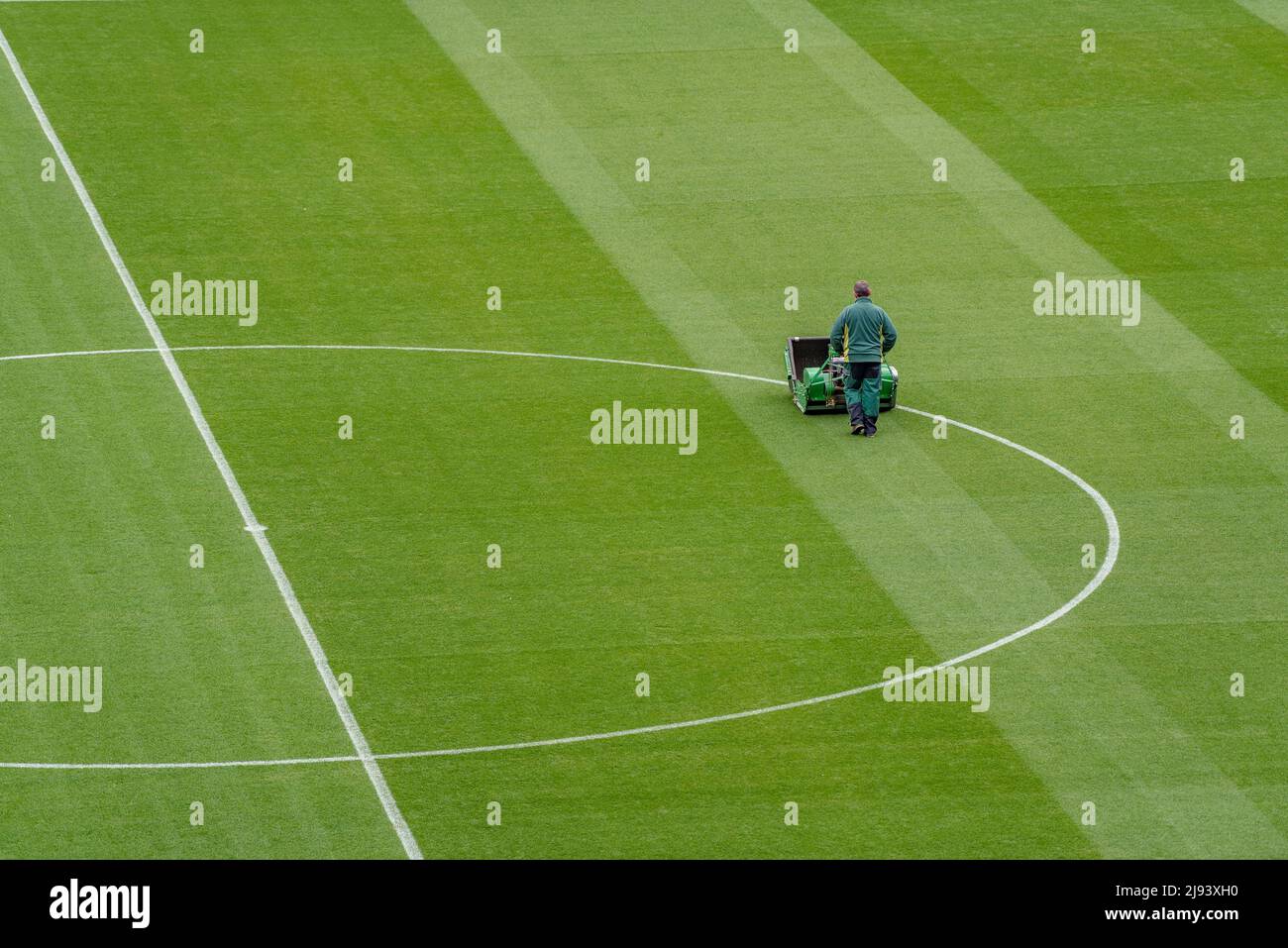 Un giardiniere falcia l'erba del campo di calcio Camp Nou prima di una  partita FC Barcelona (Barcellona, Catalogna, Spagna) ESP: Jardinero  cortando césped Foto stock - Alamy