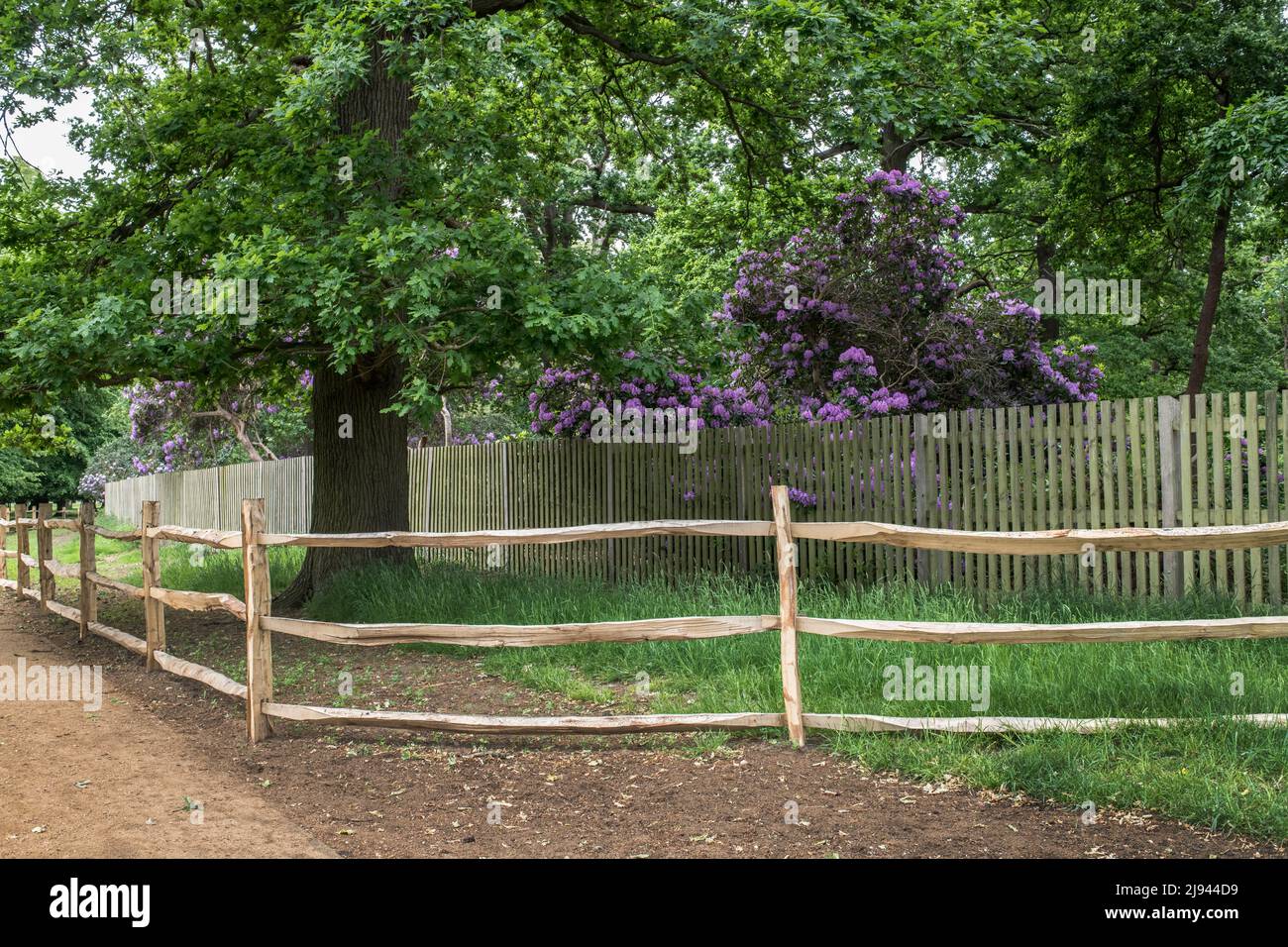 Semplice recinzione rustica in legno che crea un confine di terra Foto Stock