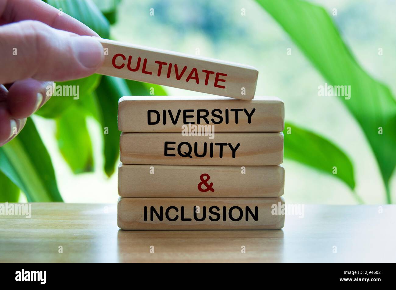 Coltivare la diversità, l'equità e il testo di inclusione su blocchi di legno. Concetto di Unione Foto Stock
