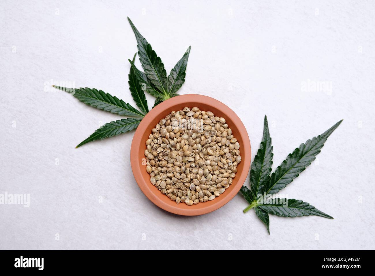 Un mazzo di semi di cannabis su un piatto con foglia verde. Grano di canapa su sfondo grigio, posa piatta. Granella di marijuana, vista dall'alto. Foto Stock