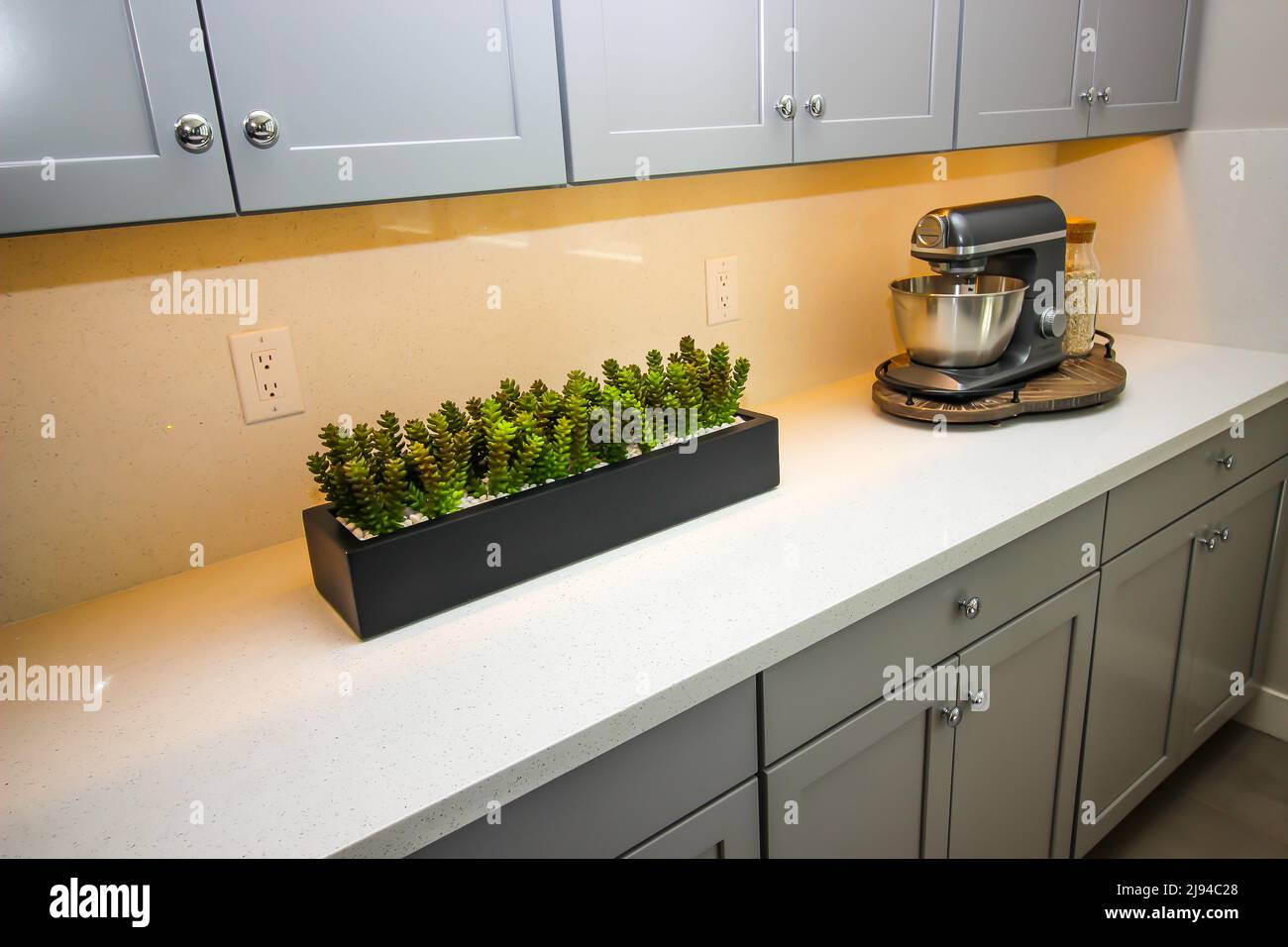 Cucina moderna Counter Top con pianta e vassoio con piatto di miscelazione Foto Stock