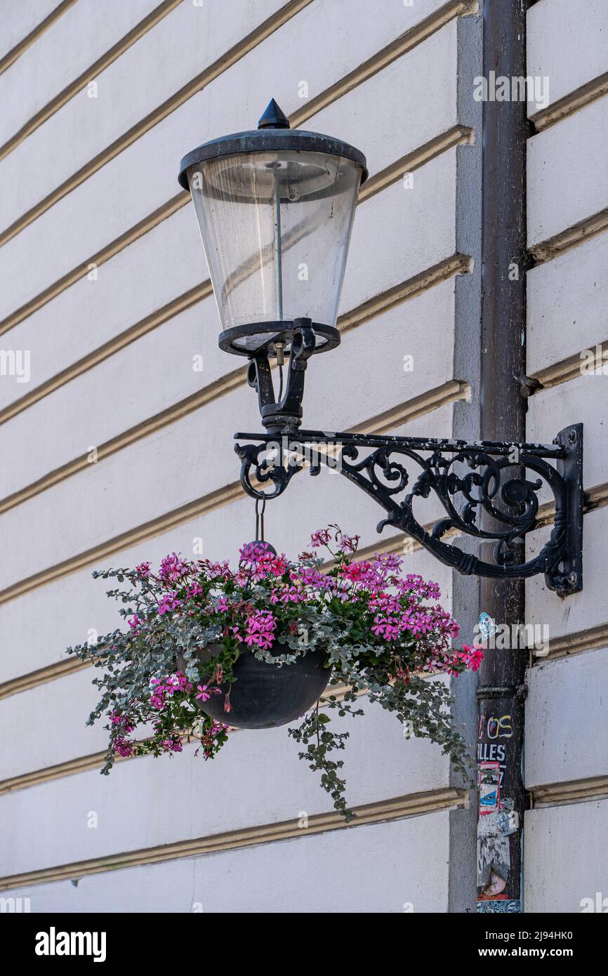 Lubiana, Slovenia - 07.15.2021: I fiori sono appesi sotto la lampada da parete in via Lubiana Foto Stock