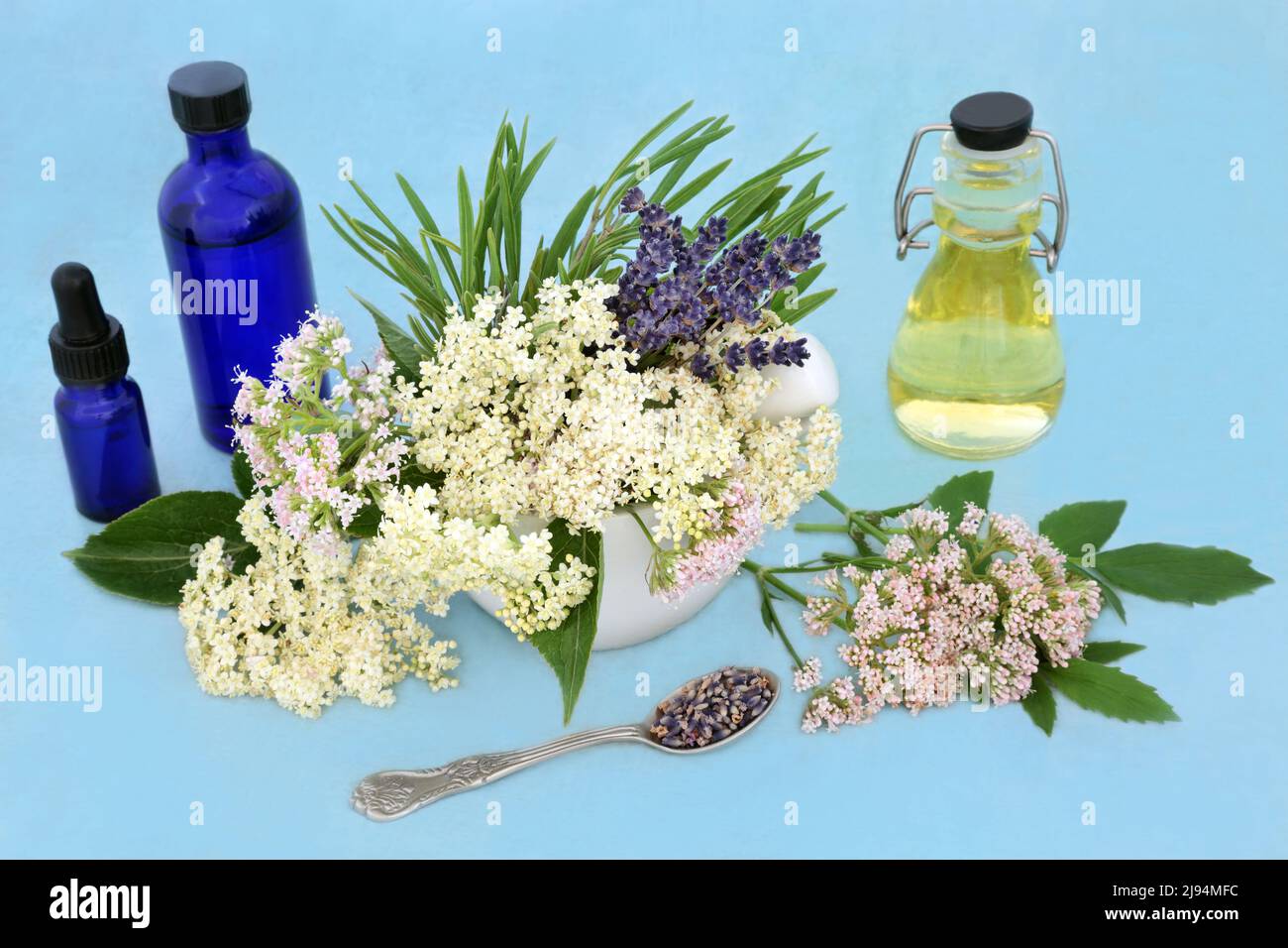 Medicina vegetale naturale con erbe valeriane, lavanda e sambuco in un mortaio con bottiglie di olio essenziale. Usato come tranquillante. Foto Stock