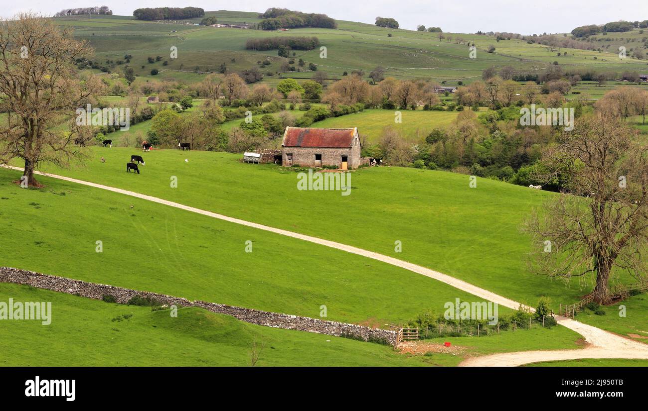 Vista dal Tissington Trail nel Derbyshire Paeak District in Inghilterra con gli edifici agricoli sullo sfondo Foto Stock