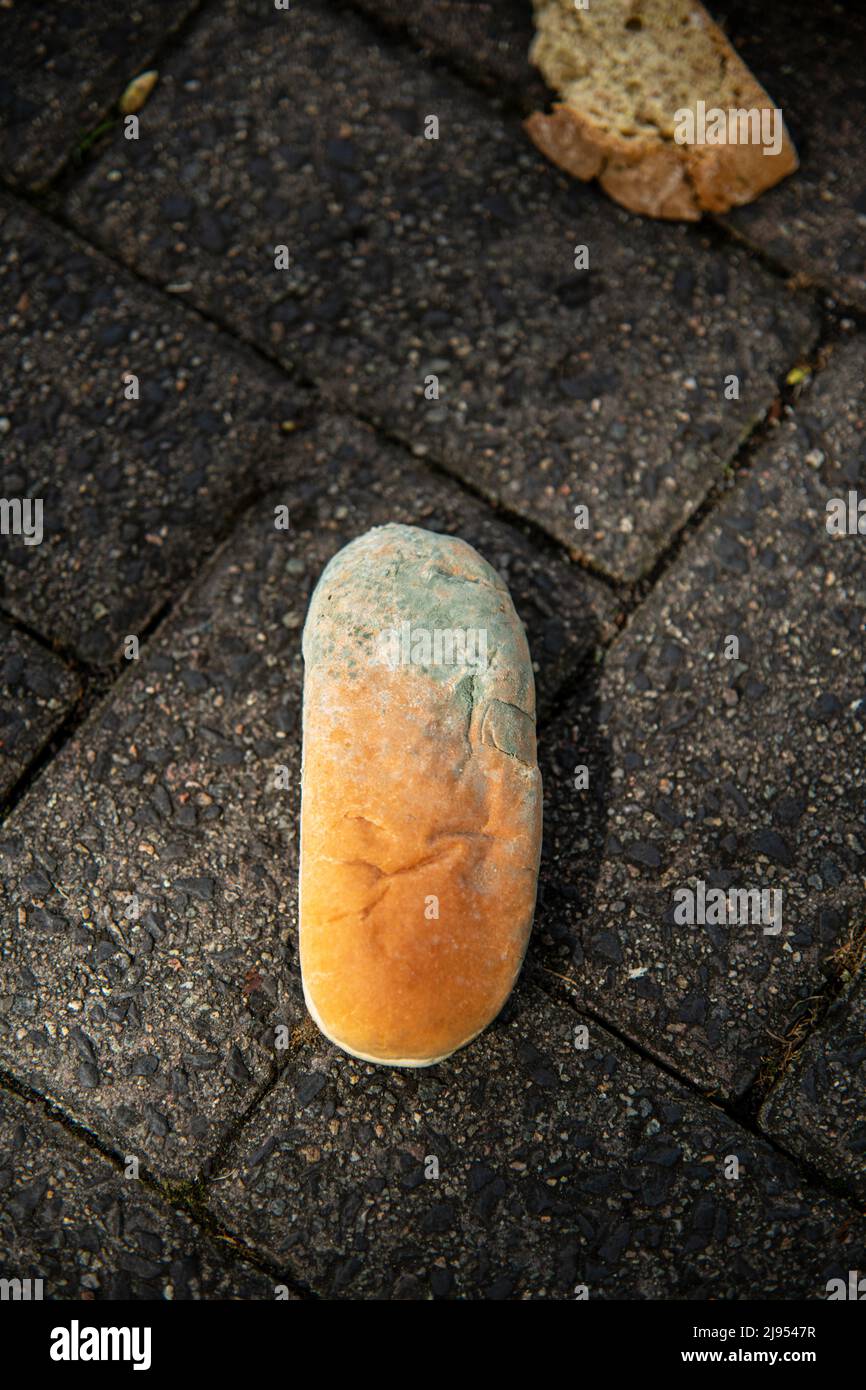 Pane fresco abbandonato per strada, disprezzo per il cibo Foto Stock