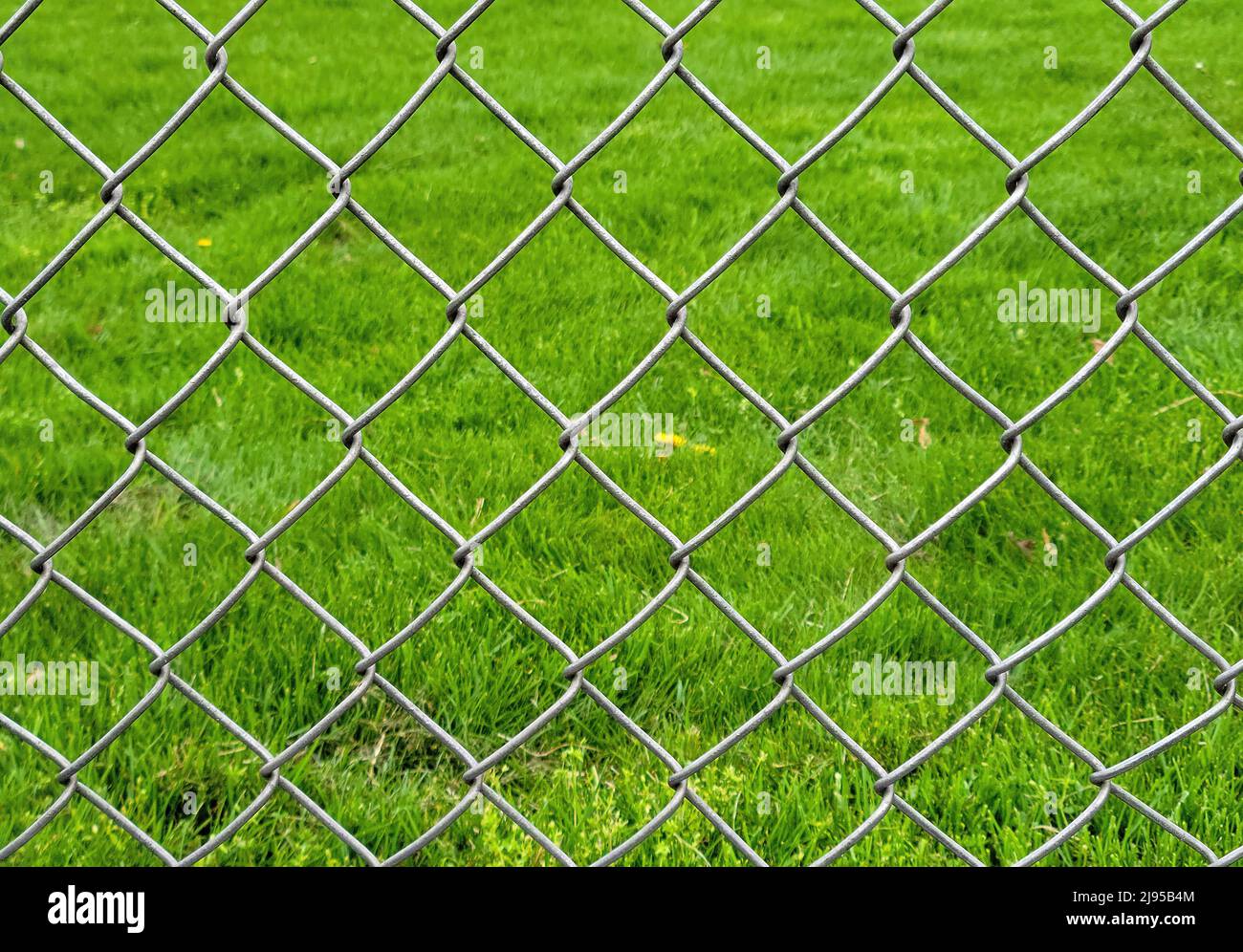 Erba verde brillante con schema di recinzione delle maglie della catena Foto Stock