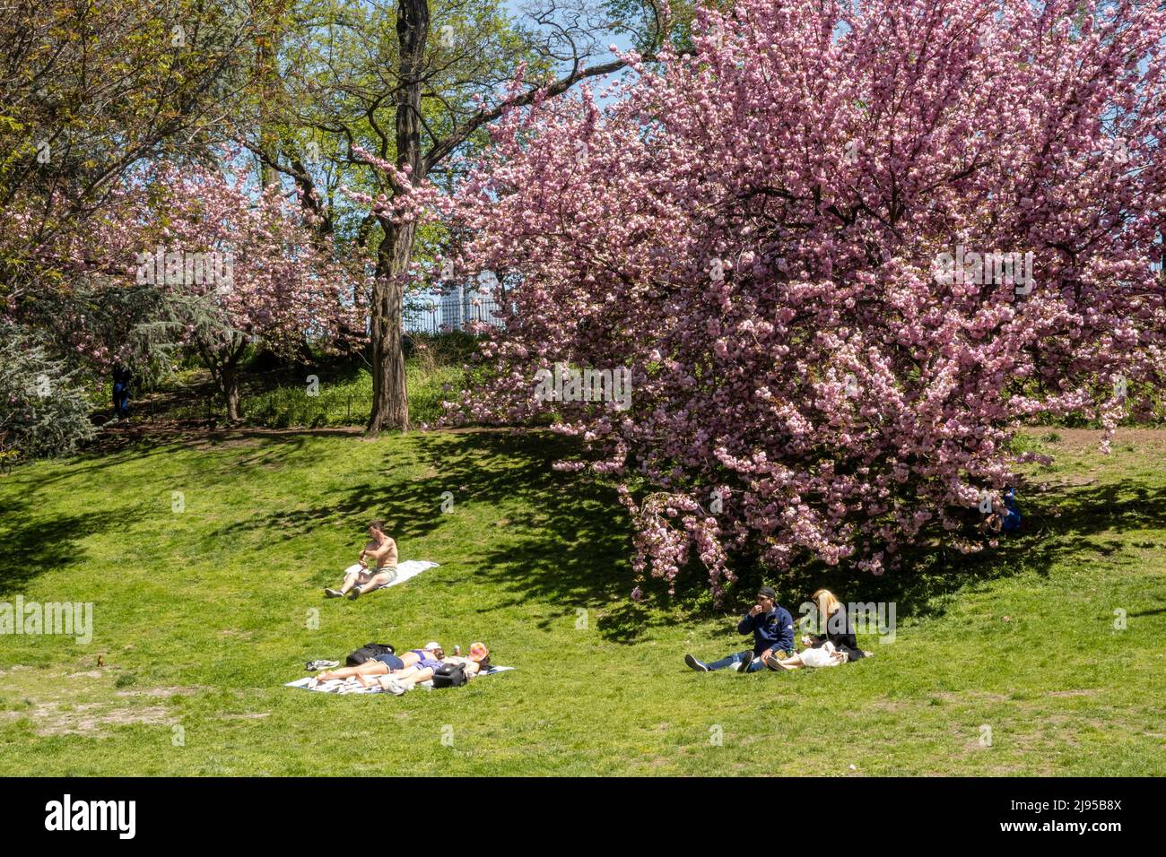 Central Park è una splendida oasi urbana in primavera, New York City, USA 2022 Foto Stock