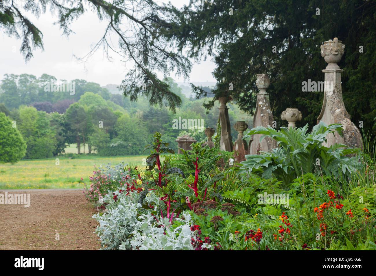 I fiori della tarda primavera al confine includono il fogliame d'argento di Jacobaea maritima e i rossi di Erysimum cheiri e Beta vulgaris. Foto Stock