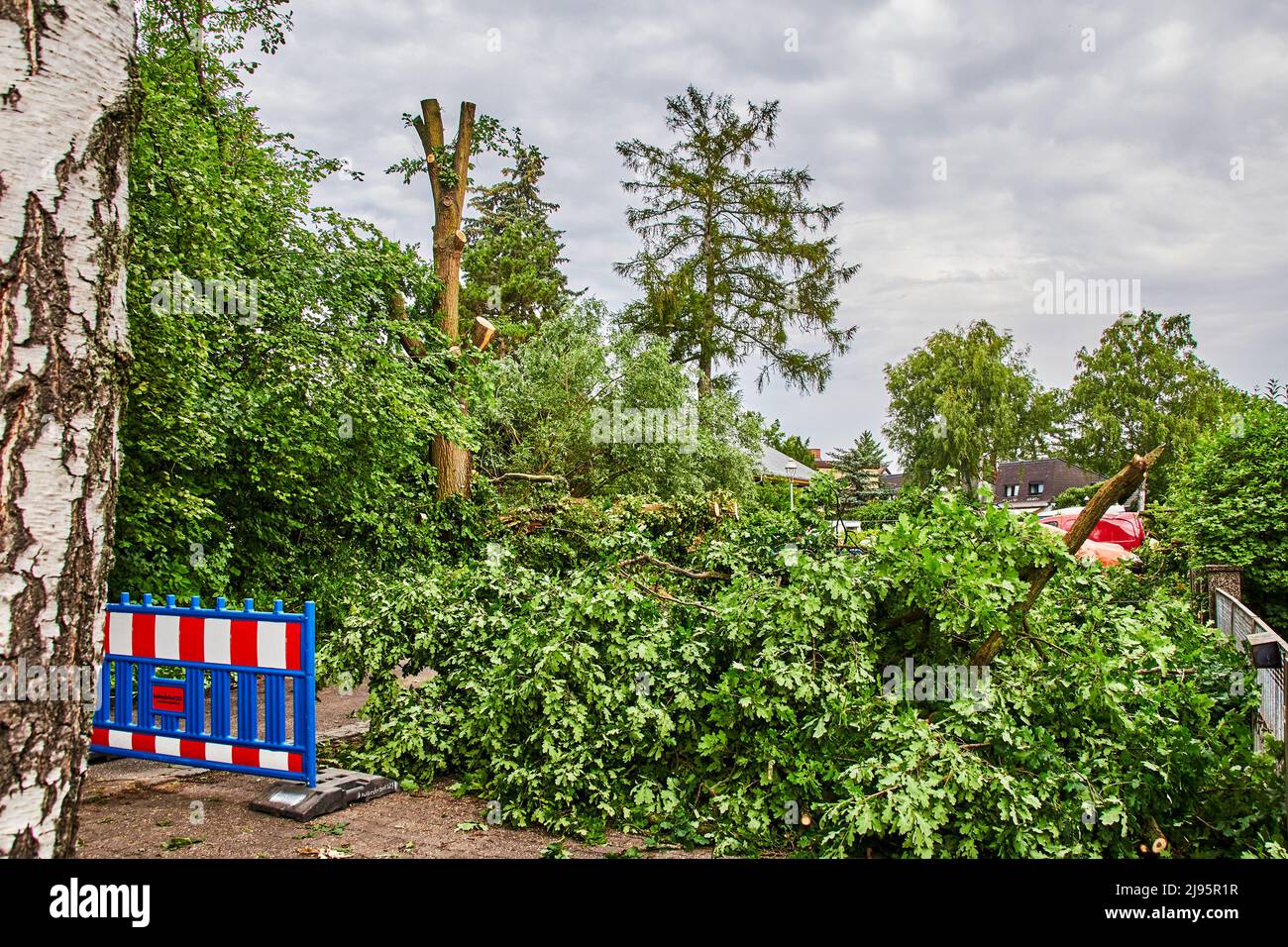 Berlino, Germania - 13 giugno 2019: Danni dopo una violenta tempesta a Berlino, Germania. Parti della strada sono bloccate perché i rami bloccano la strada. Foto Stock