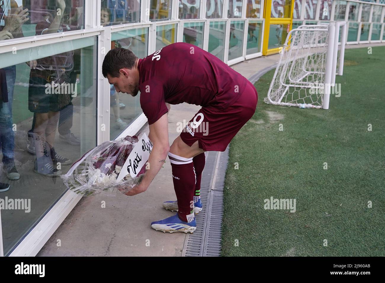 Gallo belotti immagini e fotografie stock ad alta risoluzione - Alamy