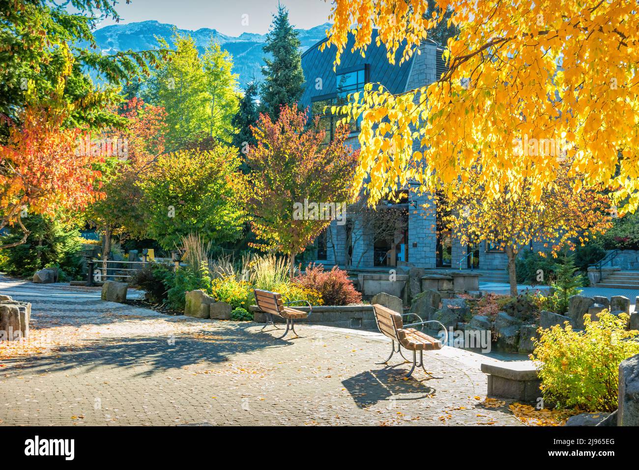 Passerella con alberi colorati nel centro di Whistler, BC, Canada in autunno Foto Stock