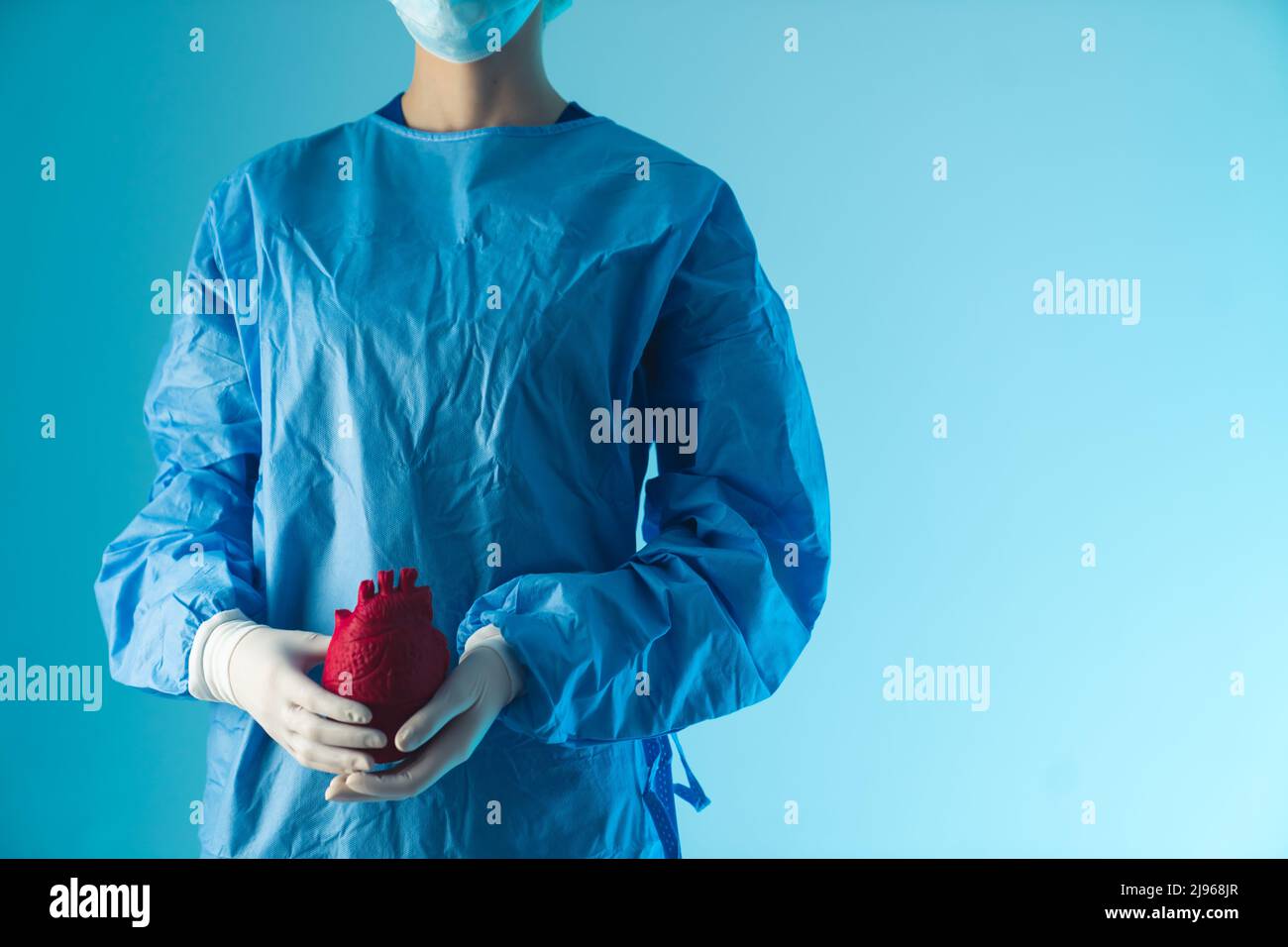 Medico mascherato e irriconoscibile che indossa scrub chirurgici e guanti che tengono un falso cuore rosso umano. Sfondo blu. Concetto medico. Foto di alta qualità Foto Stock