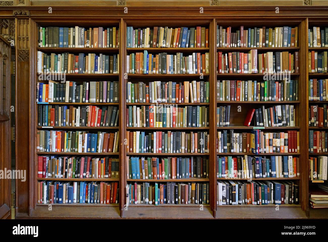 Scaffalatura in legno con libri da biblioteca Foto Stock