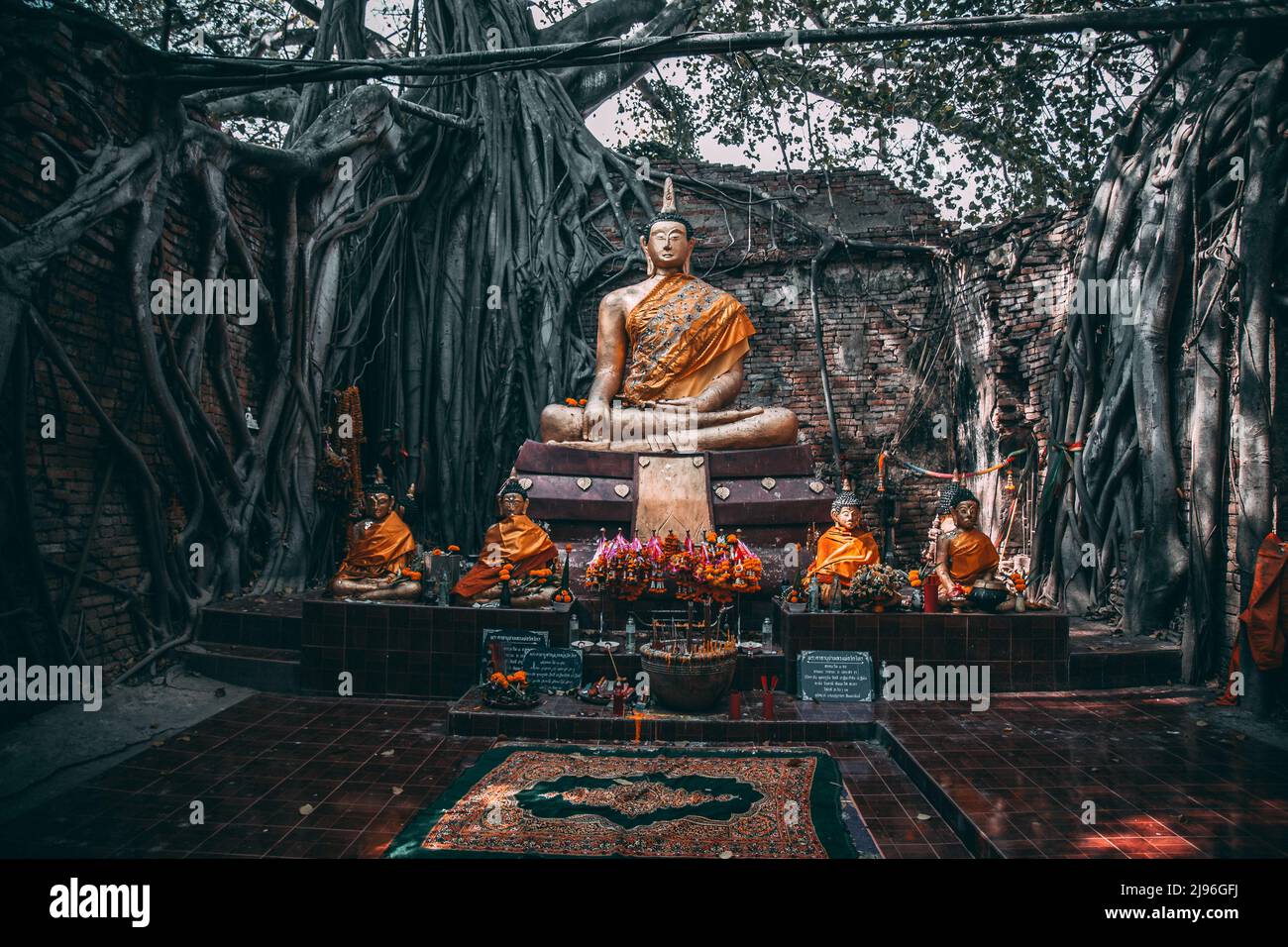 Wat Sai tempio rovina coperto da radici di banyan, a Sing Buri Thailandia Foto Stock