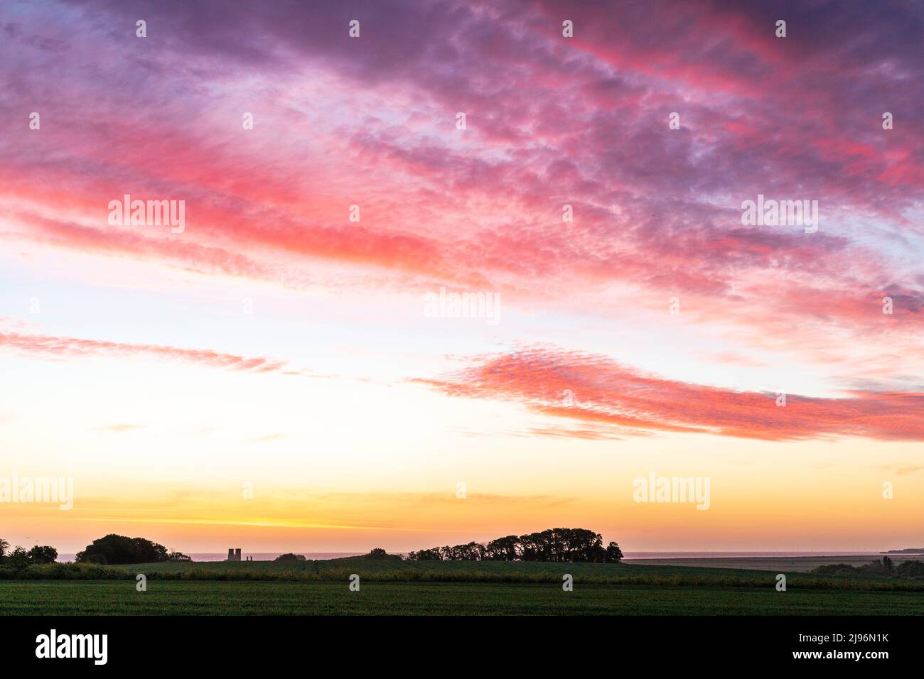 Il cielo dell'alba sul mare del Nord in lontananza con la campagna del Kent in primo piano. Campo d'orzo e gruppi sparsi di alberi che si staglia contro l'orizzonte e il mare. Il cielo è chiaro all'orizzonte con strati di nube rossastra sopra. Foto Stock