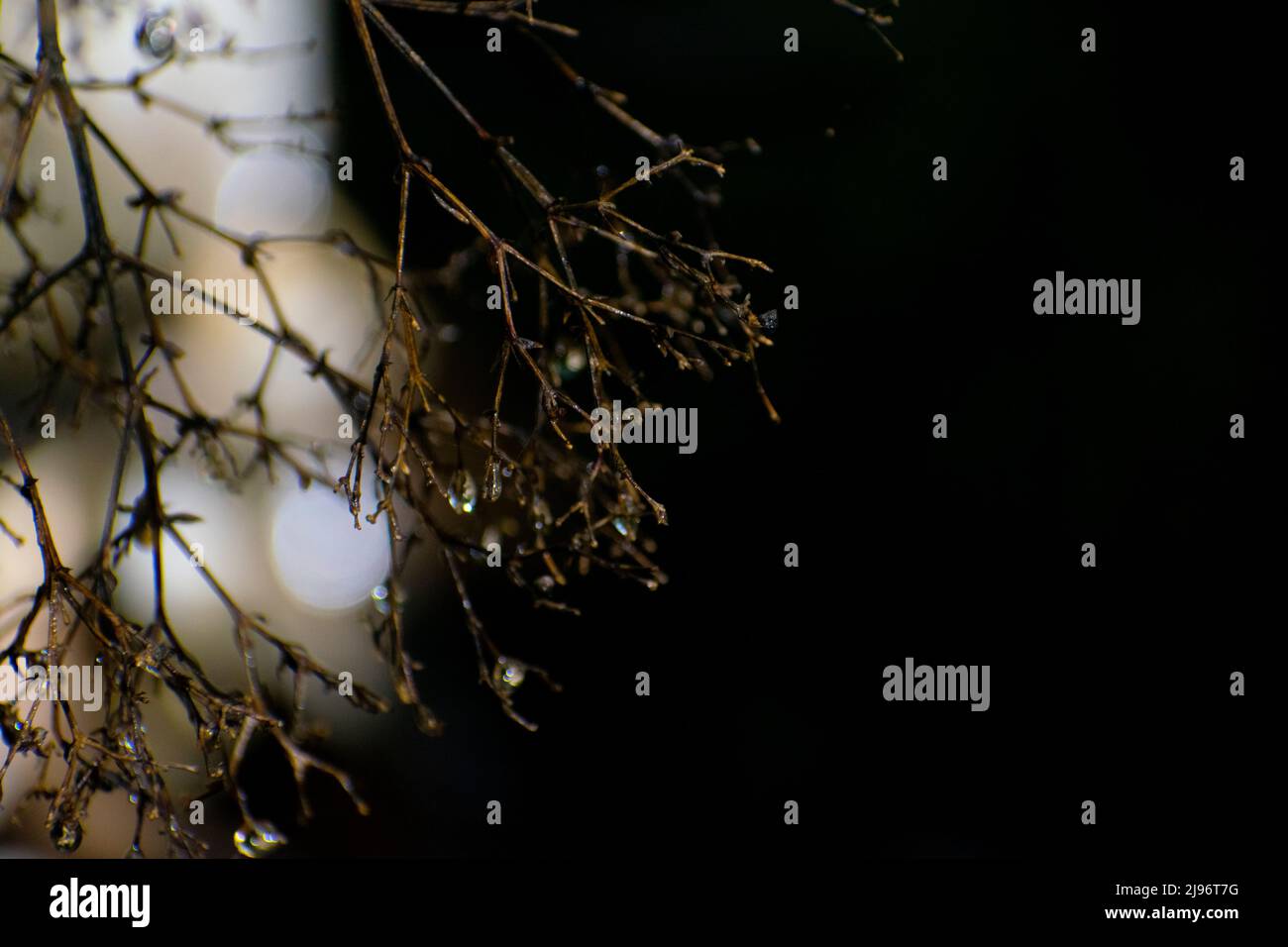 immagini delle gocce d'acqua Foto Stock