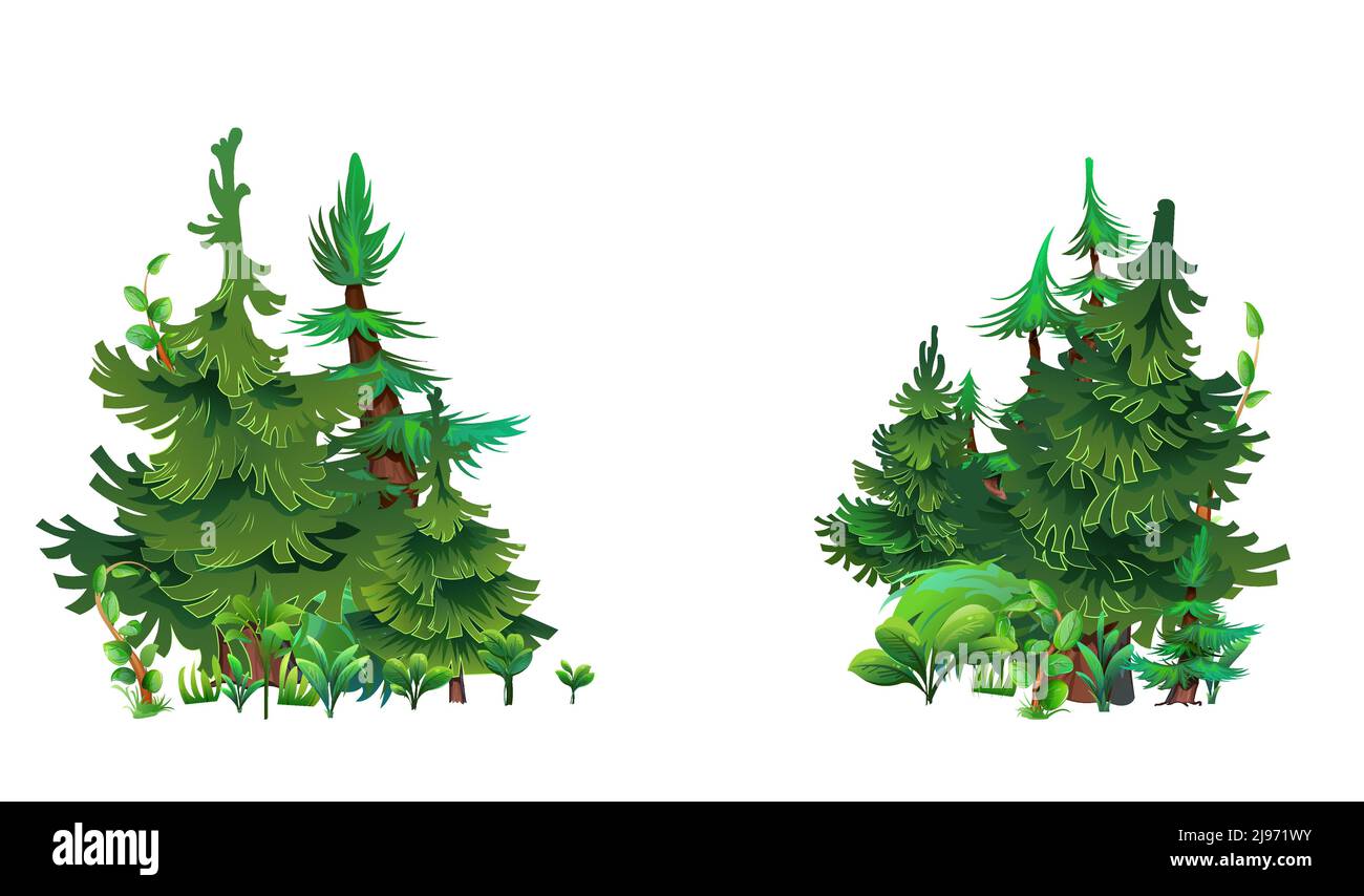 Pineta. Due patch. Abete rosso conifere. Stile cartoon paesaggio. Isolato su sfondo bianco. Vettore. Illustrazione Vettoriale