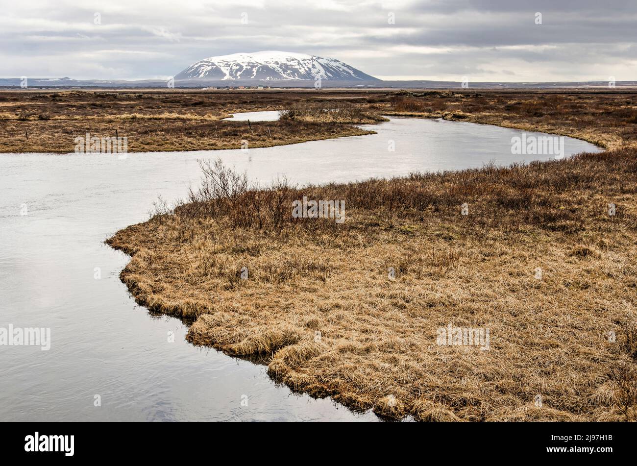 Piccolo fiume che attraversa un paesaggio con erba, cespugli e altra vegetazione bassa con sullo sfondo il monte Sellalandfjall Foto Stock