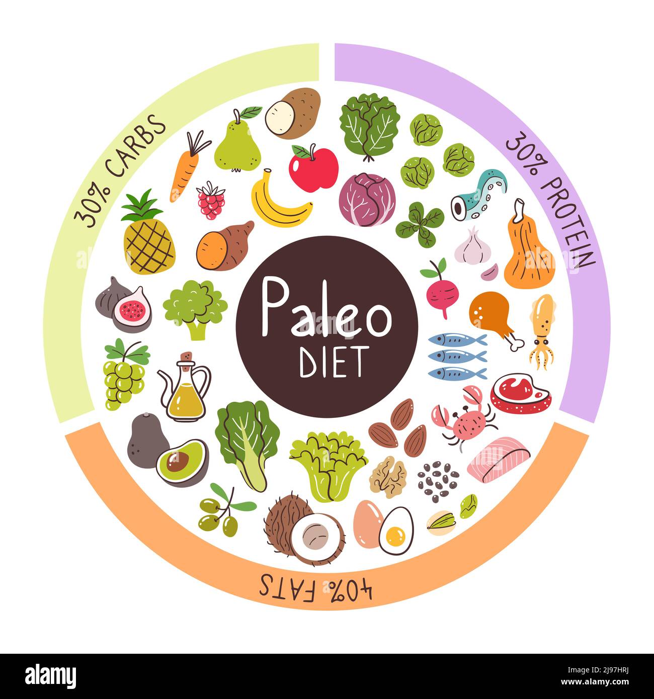 Ingredienti alimentari per la dieta Paleo. Percentuali di carbs, proteina, e grassi più usati in questa dieta. Collezione di icone alimentari. Illustrazione Vettoriale