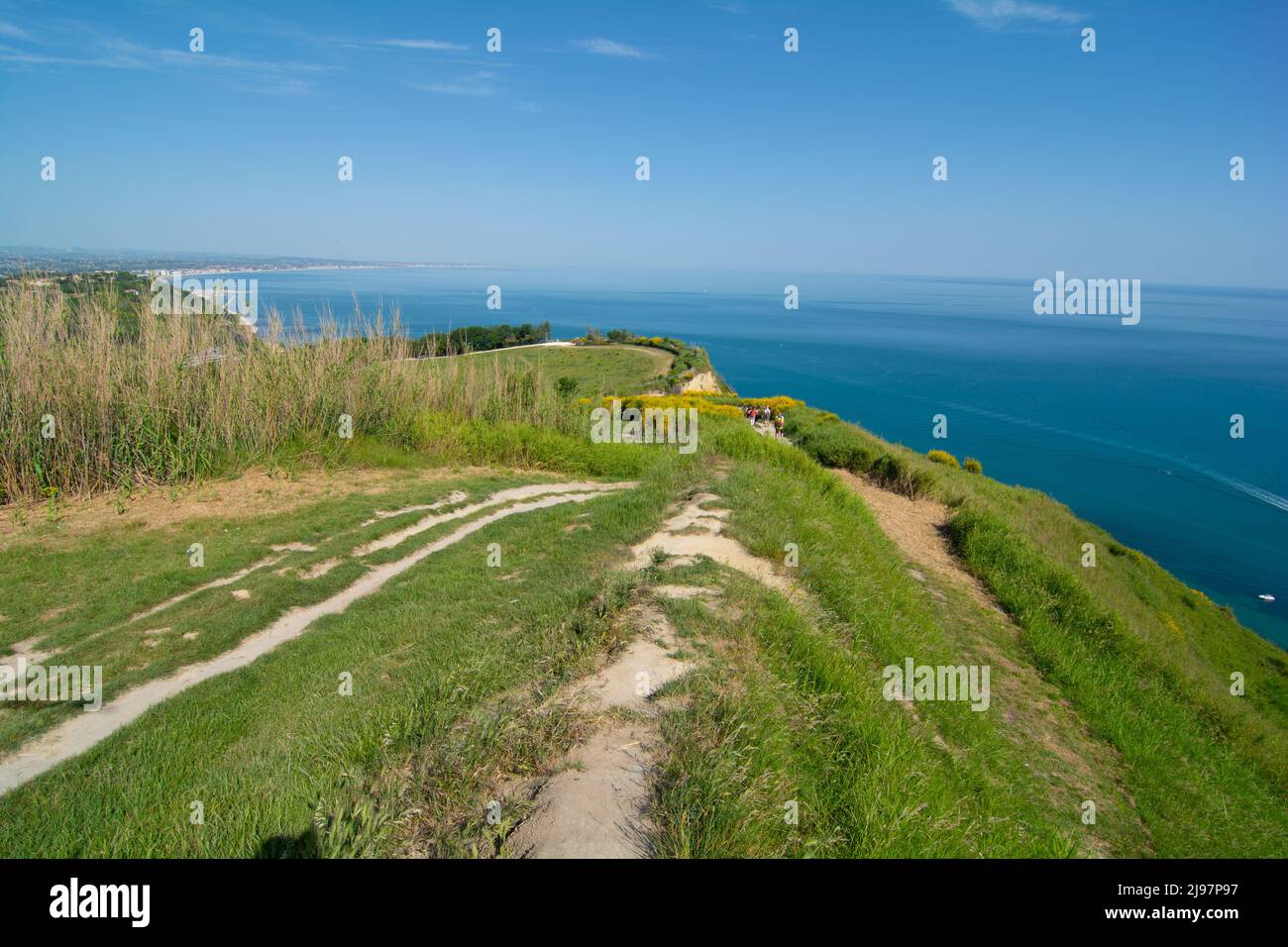 Parco regionale San Bartolo regione Marche - scopa e acqua di mare verde  trasparente Foto stock - Alamy