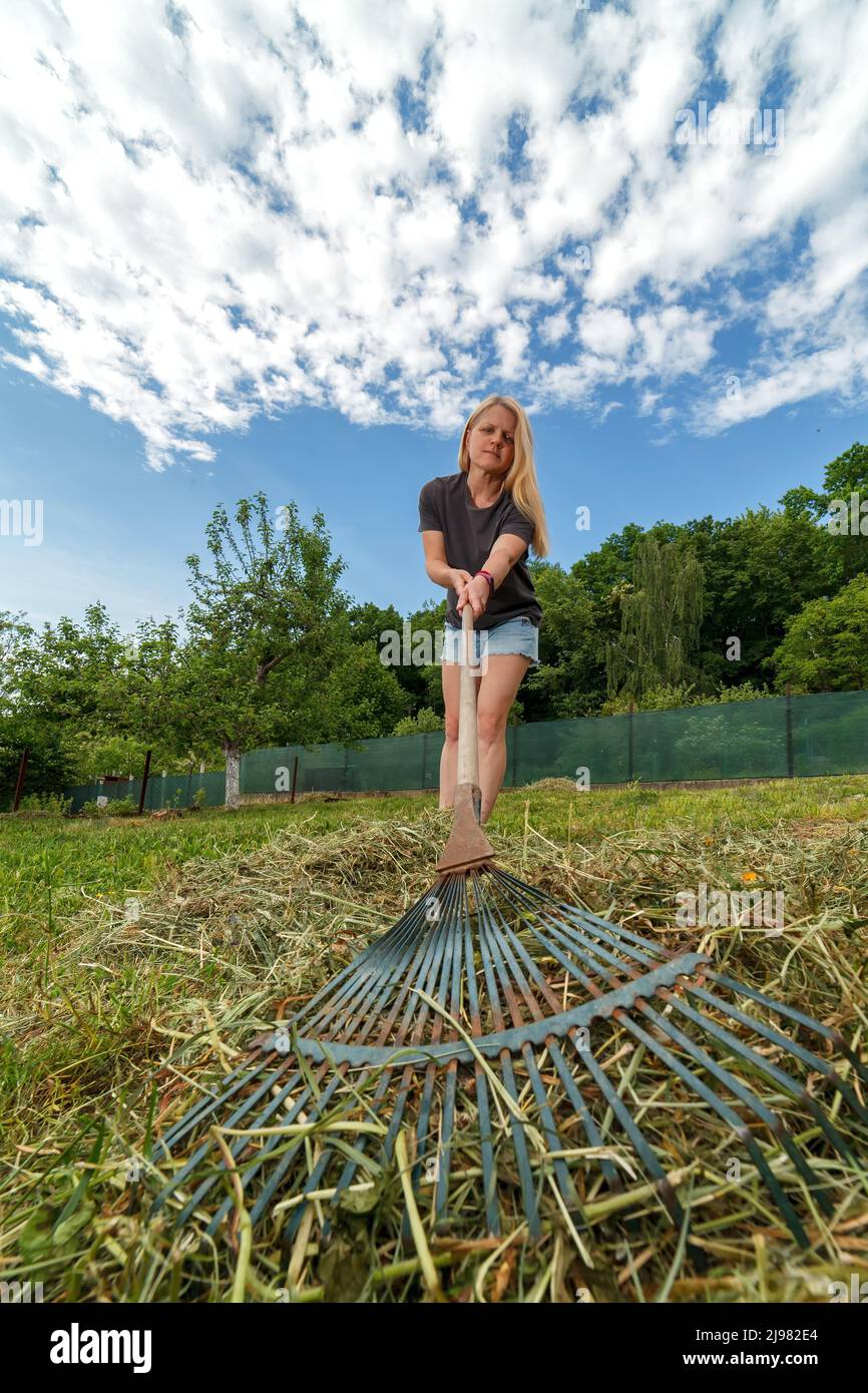 La ragazza raccoglie erba secca con rastrello da giardino Foto Stock